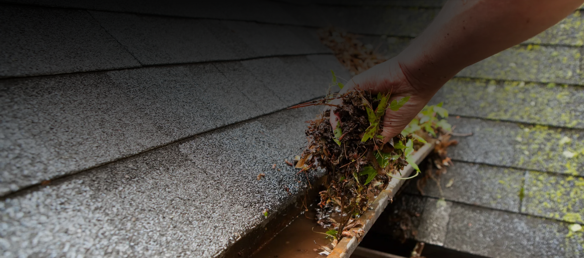 Premier Exterior Cleaning Service