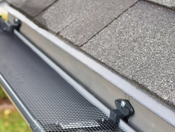 gutter cleaning